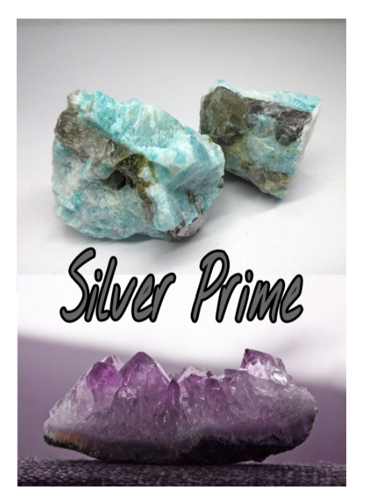 Silver Prime Catalogue Cover